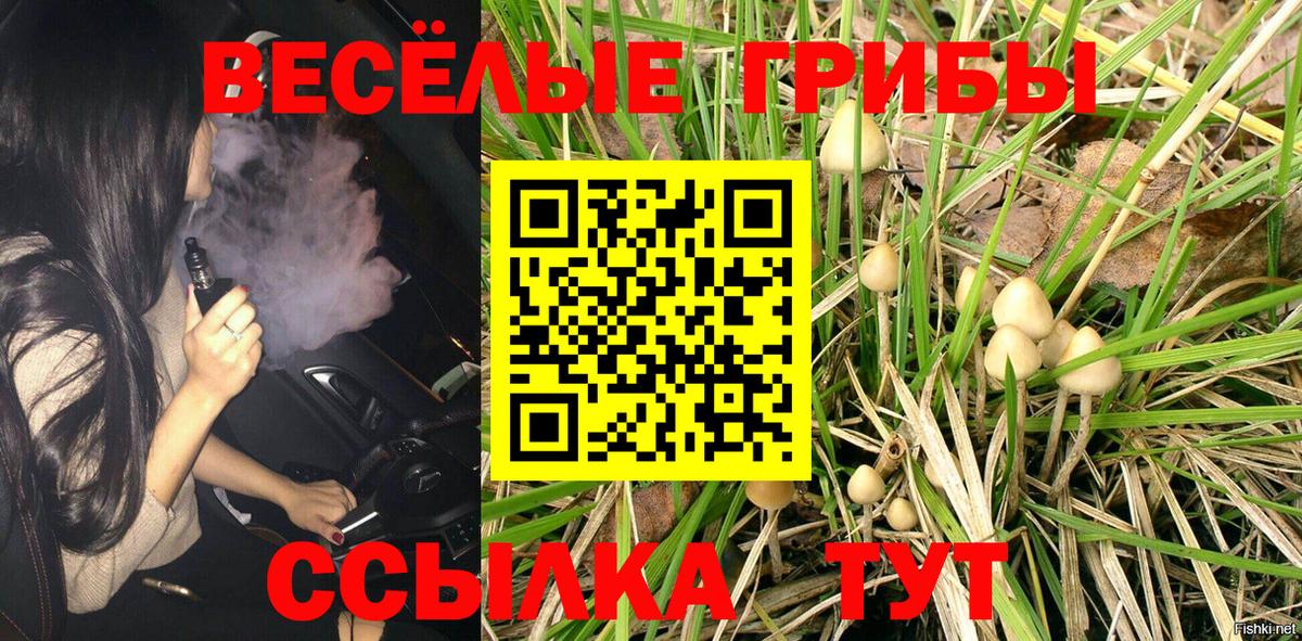 закладка  Галлюциногенные грибы MAGIC MUSHROOMS  Вход с VPN  Сосновоборск 