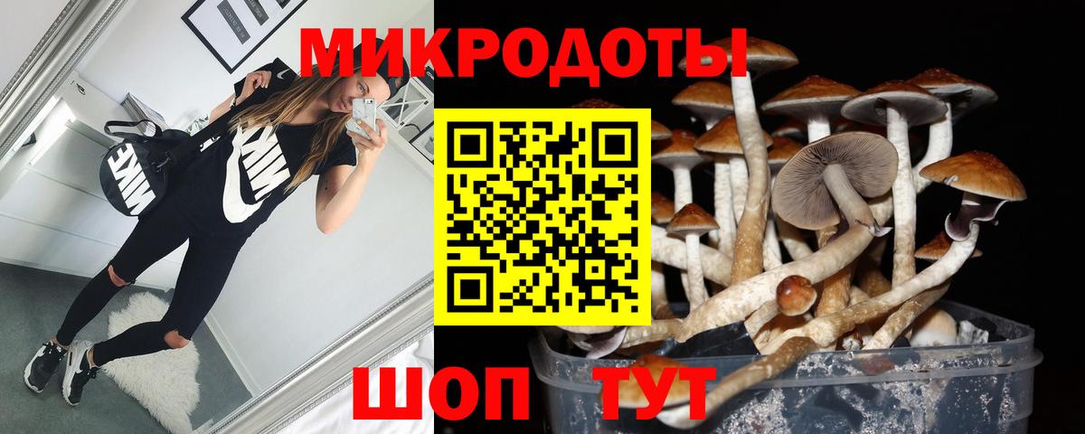 Галлюциногенные грибы мицелий Сосновоборск